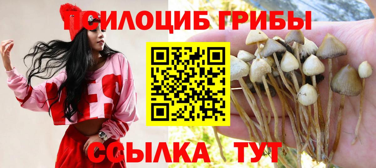 Галлюциногенные грибы мицелий  Вход с VPN  Галлюциногенные грибы ЛСД  Россия 