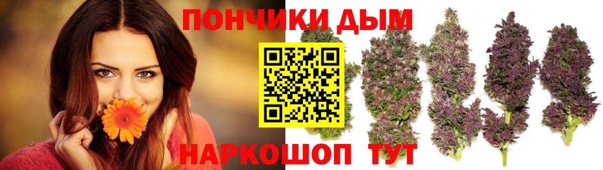Марихуана OG Kush Россия